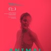 Animal 2023 1080p WEB-DL AAC 5 1 H 264-FLIX thumb