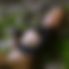Domthenation.com (15) [AddOn 04.09.2022 - 15.01.2025] [ BDSM, Anal, Bondage, Rimming, Torture, Spanking, 2048x858, SiteRip] thumb