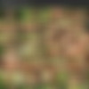 [DorcelClub.com] Tiffany Tatum - Tiffany's garden (03-02-2021) [2021, All Sex, Blonde, Blowjob, Gonzo, Hardcore, Outdoors, Petite, Small Tits, 540p] thumb