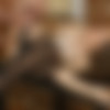 [RussianTeenAss.com / Private.com] Russian Teen Stefany Gets Banged in Stockings [2016 ., Blowjob Cumshot Hardcore Lingerie Teen, 1080p] thumbnail