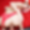 [ImmoralLive.com / BlowPass.com] Kaisa Nord (Gorgeous Redhead with a Perfect Butterfly Pussy Makes Matt Bird Pop Twice / 08.02.2020) [2020 ., All Sex] thumb