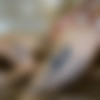 [x265 re-encode] [TeenFidelity] Garden of Eden #526 - Eden Ivy - 2022-07-05 - 1080p thumb
