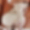 [TeamSkeet.com / ShesNew.com] Cara May - Ancient Alien Pussy Probe [2019.04.21, All Sex, Doggystyle, High Heels, Indoor, Missionary, Teen, POV, Cum on Tits, Cum In Hair, Casting, 720p] thumb