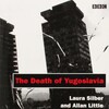 The Death of Yugoslavia [DVDRIP] thumb