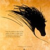 The Black Stallion 1979 1080p AMZN WEB-DL DDP 5 1 H 264-PiRaTeS thumb