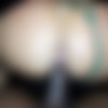 [OF-PaytonPreslee] Fucking w Nick Marxx 2024 [1080p] thumbnail