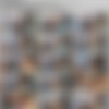SpecialExamination.com [Siterip till August 2011] thumbnail