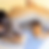 [FC2PPV.net / FC2.com] Con cafe clerk Rui-chan (20) Cute and cheeky * Makes the world understand the first vaginal cum shot in life. [FC2-PPV-3669730][uncen] [2023 ., All Sex, Blowjob, Cum in Mouth, 1080p] thumb