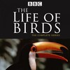 Sir David Attenborough The Life of Birds 1998 DVDRip XviD-RUNNER thumb