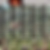 Gachinco.com SiteRip (Part 1 of 4) - UNCENSORED JAV thumbnail