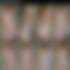 OnlyFans Siterip - AliceRed - Big Natural Tits - (281 Photos and 72 vids) thumb