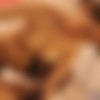 [Erito.com] Nuru Nympho Will Make You Feel Good [Uncen] [17.03.2020 ., All Sex, Blowjob, Hardcore, Creampie, 720p] thumb