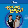 You Lucky Dog 1998 1080p UPSCALED Opus 2 0 x265-edge2020 thumb