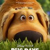 Dug Days S01 WEBRip EAC3 5 1 1080p x265-iVy thumb