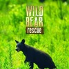 Wild Bear Rescue S02E09 1080p WEBRip x264-BAE thumb