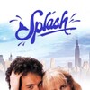 Splash [1984] / H264 / MKV / Blu-ray / 1080p / DTS / Subs thumb