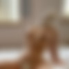 Ellie Appleton aka elliesapplepie Megapack [OnlyFans] 2020-21 (362 Vids) thumb