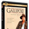 Gallipoli (1981) BluRay 1080p DTS-HD AC3 AVC NL-RetailSub REMUX thumb