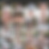 Luna Fae (15 ) Pack [2018-2023, Anal, Creampie, Facial, Teen] thumb