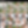 [CastingCouch-HD.com / NVG Network]Maxie ( Omg The Latest Cchd )[2022, Gonzo ,Hardcore, All, Sex, IR, 576p] thumb