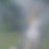 [PlayboyPlus.com] 2019 Mila Azul - Smoke Show 09.09.19 [Erotic] [1080p] thumb