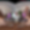 [VRHush.com] Eva Nyx (The Eva Nyx Experience) [2024 ., Creampie, Hardcore, All Sex, VR, 4k, 1920p] [Oculus Rift / Vive] thumb