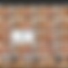 [Onlyfans.com] Rae Lil Black UPDATE - 11 Videos 96 Images thumb