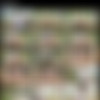 [FTVGirls] Aveline January2016 1080p mp4 Splitscenes Imageset thumb