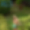[ALSScan.com] 2013-09-04 Cayenne - Sheared [Solo, Toys, Anal, DP, Outdoor] [ 2893x4343  3456x5184, 298 ] thumb