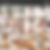 Keisha Grey Mega Pack thumbnail