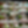 [TeamSkeet / GingerPatch] SiteRip - 1080p thumb