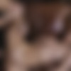 [ZTOD.com] Haley Reed (Banging My Stepsister's Sweet Ass) [2019-05-17, All sex, Hardcore, Anal, Blowjob, Teen, Small Tits, Blonde, 1080p] thumb
