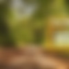 [PetitePOV.com] Candee Licious - Pick-up in a Public Park [2020-12-30, All sex, 1080p, SiteRip] thumbnail