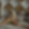 [StasyQ.com] 2019-12-22 AliceQ (365) [Solo, Posing] [2160p, SiteRip] thumb