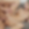 [BitchesAbroad.com / PornDoePremium.com] Gina Gerson - Hot European teen Gina Gerson gets cum covered in exciting hard fuck abroad [2016 ., All Sex, BlowJob, 720p] thumb