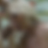 [Platanito / PutaLocura.com] Blondie Fesser (Jugando con la nata / 31.12.14) [2014 ., All Sex, Blowjob, 360p] thumb