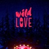 Wild Love [2018] / H264 / MKV / WEB / 1080p / AAC / Zxx / Instinctive thumb