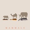 Mammals 2024 S01E06 1080p WEB h264-EDITH thumb