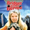 Bridget Loves Bernie S01 1972 480p DVDRip x264 thumb