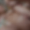 [NewSensations.com] Sarah Bella (One More Time For Sarah) [2019-03-15, All sex, Blowjob, Hardcore, Big Tits, Brunette, Cum On Tits, Natural Tits, Step Family, Teens, Titty Fuck, 1080p] thumb