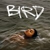 Bird [2024] / H264 / MKV / WEB / 1080p / AC3 / Subs / TURG thumb