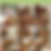 [HookupHotshot.com] Full Siterip (March 2016) [720p] thumb