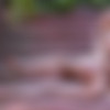[UltraFilms.com] 2022-09-01 Amber - Smell The Air [Small Tits, Nude, Posing] [5464x8192, 75 photots] thumb