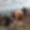 [PhotoDromm.com] Juliette (Top Views 2 / 21.10.2013) [2013 ., Solo, Outdoor, Teen, Little Tits, Posing, 720p] thumb