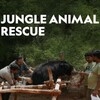 Jungle Animal Rescue S01 720p WEB x264-CAFFEiNE thumb