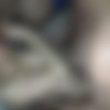 [puzzyfun.com] Gundula Pervers (Yeah, Gundula is a real anal creampie gangbang slut) [2020-02-15, Amateur, Fucking, Orgy] [720p] thumb