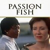 Passion Fish [1992] / H264 / MKV / WEB / 1080p / AC3 / Subs thumb