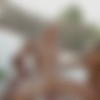 [18OnlyGirls.com / WowFandom.com] Clover, Naomi Nia ( Mating In Nature / 02.01.16) [2016 ., Blonde, Blowjob, FFM, Handjob, Hardcore, Masturbation, Outdoors, Threesome, 720p] thumb