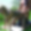 [MyPickupGirls.com]   (4 ) [ All sex, Group, Outdoor, Anal, Teens][ 2011] thumb