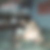 Vintage And Present [Amateur,Vintage] [ 814*629  1893*1247, 93] thumb